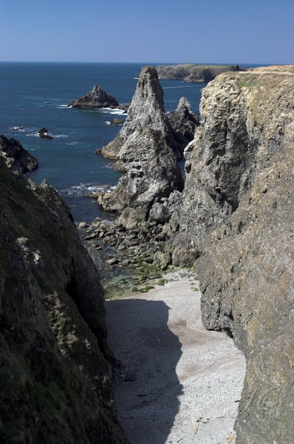 0011PortCoton.jpg
