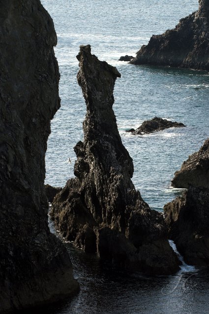 0070PortCoton.jpg
