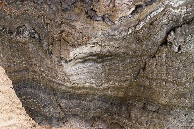 0357Bordardoue.jpg
