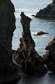 0070PortCoton