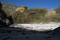 0087PortCoton