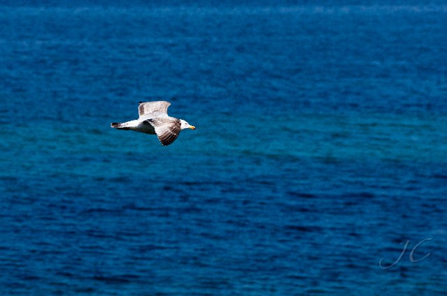 0125Quiberon.jpg - SONY DSC