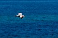 0125Quiberon