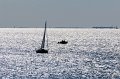 0016Arzon