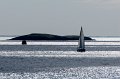 0018Arzon