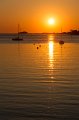0142Arzon