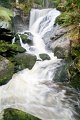 0129Triberg