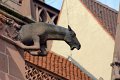 0206Freiburg