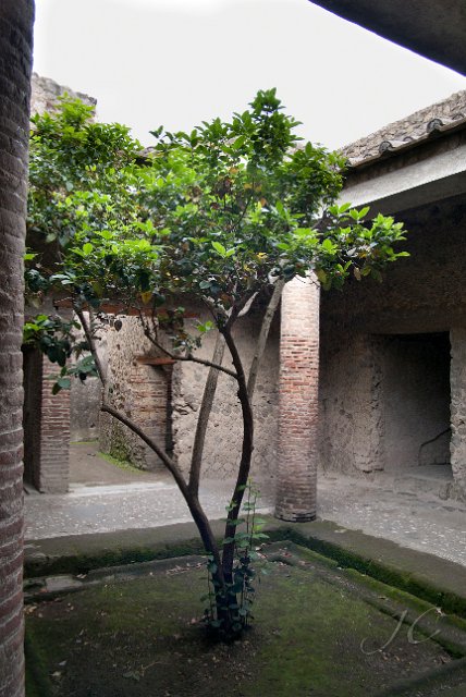 0407Pompei.jpg - SONY DSC