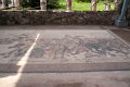 0363Pompei