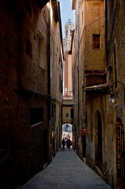 0259Siena.jpg - SONY DSC