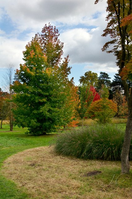0005Arboretum.jpg - SONY DSC