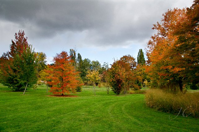 0009Arboretum.jpg - SONY DSC