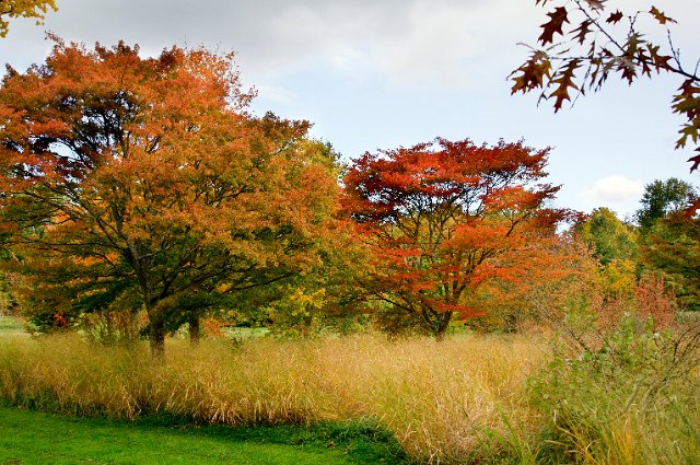 0010Arboretum.jpg - SONY DSC