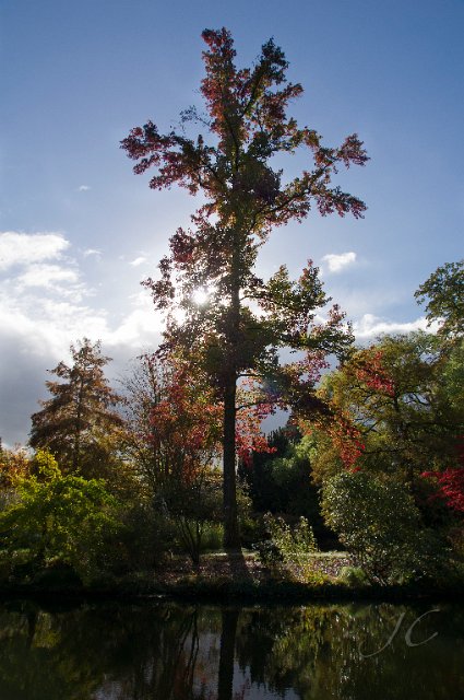 0015Arboretum.jpg - SONY DSC