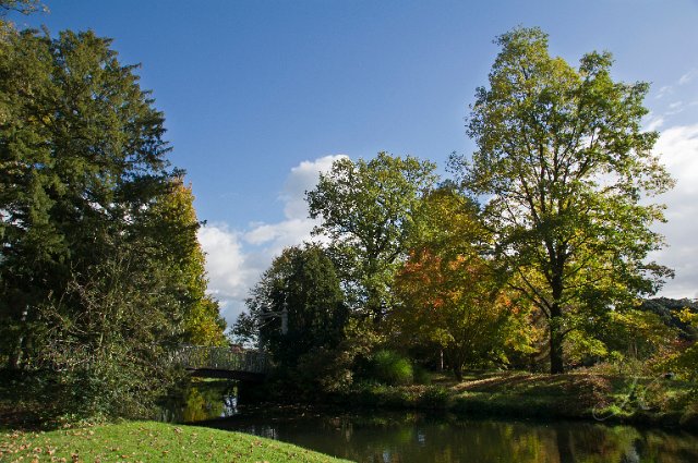 0017Arboretum.jpg - SONY DSC
