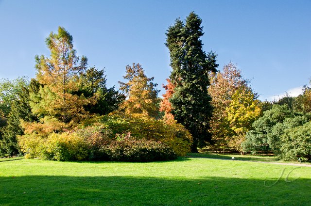 0019Arboretum.jpg - SONY DSC