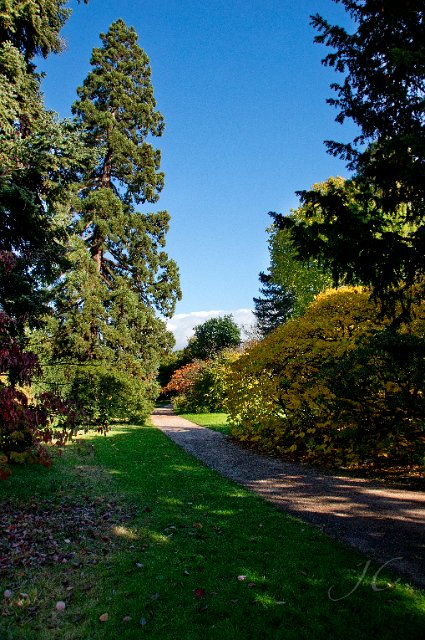 0023Arboretum.jpg - SONY DSC