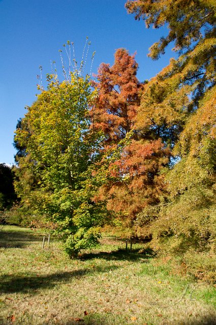 0024Arboretum.jpg - SONY DSC