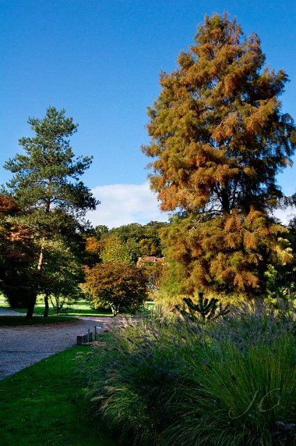 0025Arboretum.jpg - SONY DSC