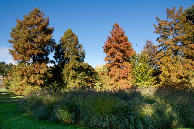 0026Arboretum.jpg - SONY DSC