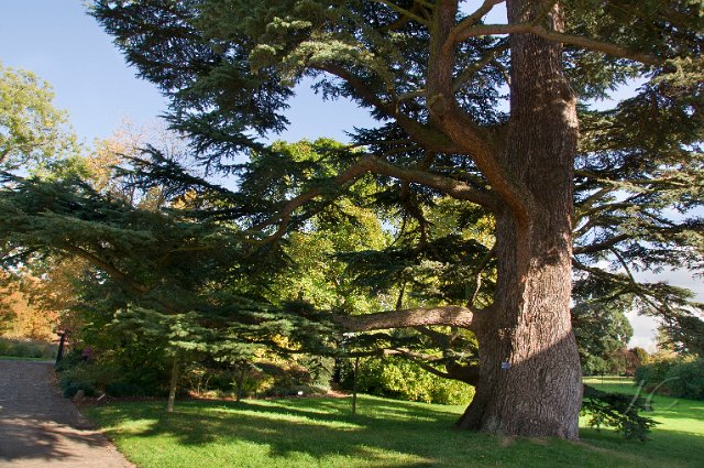 0027Arboretum.jpg - SONY DSC