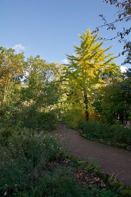 0036Arboretum.jpg - SONY DSC