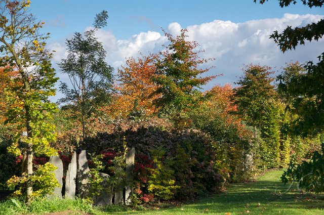 0039Arboretum.jpg - SONY DSC
