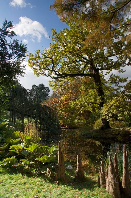 0050Arboretum.jpg - SONY DSC