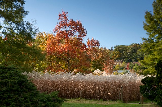 0064Arboretum.jpg - SONY DSC