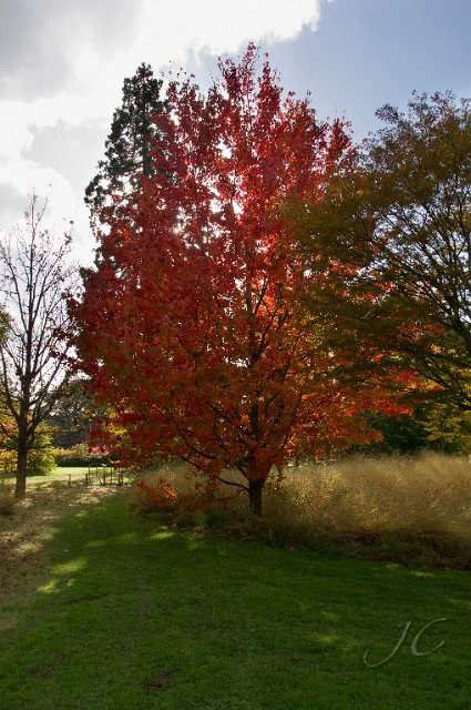 0069Arboretum.jpg - SONY DSC