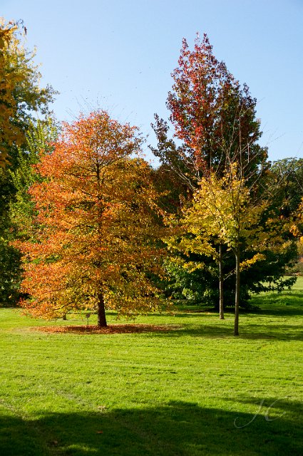 0070Arboretum.jpg - SONY DSC