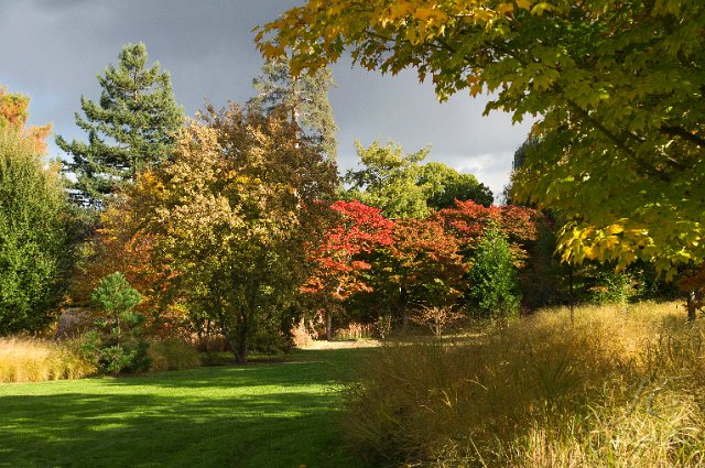0071Arboretum.jpg - SONY DSC
