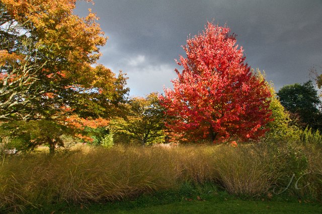 0072Arboretum.jpg - SONY DSC