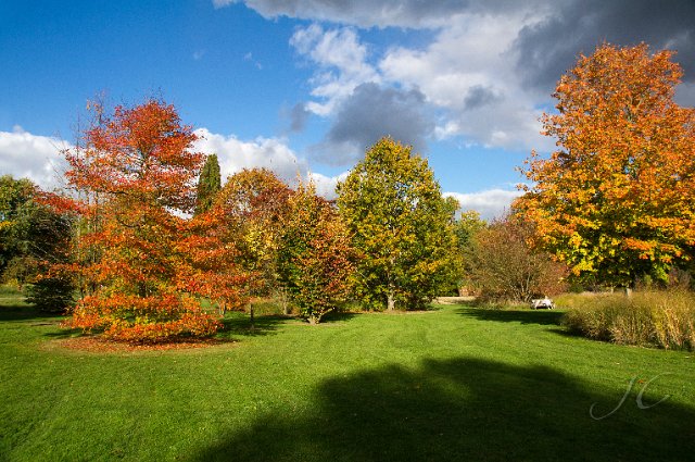 0074Arboretum.jpg - SONY DSC