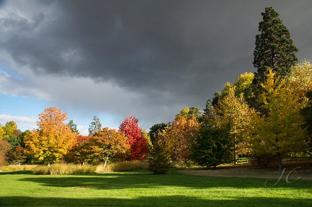 0075Arboretum.jpg - SONY DSC