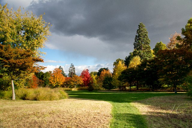 0076Arboretum.jpg - SONY DSC