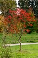 0002Arboretum