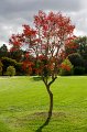 0003Arboretum