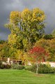 0004Arboretum