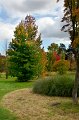 0005Arboretum