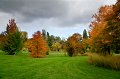 0009Arboretum