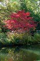 0014Arboretum