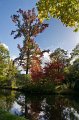 0018Arboretum