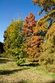 0024Arboretum