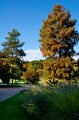 0025Arboretum