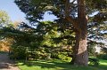 0027Arboretum