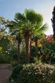 0032Arboretum