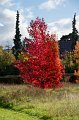 0038Arboretum