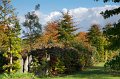 0039Arboretum